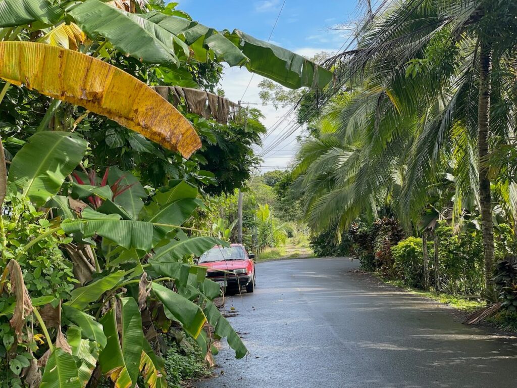 Tráfico en Tiempo Real: Cómo Llegar al Parque del Barrio 1 en Manzanillo 1 trafico en tiempo real como llegar al parque del barrio 1 en manzanillo
