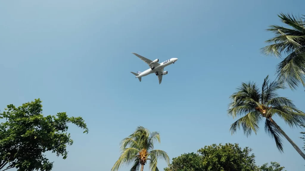 Encuentra los vuelos más baratos a la India con Skyscanner 1 encuentra los vuelos mas baratos a la india con skyscanner