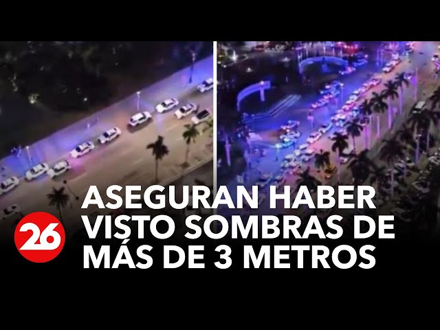 Extraterrestre de 10 pies en Miami Mall: La Verdad Detrás del Rumor 1 extraterrestre de 10 pies en miami mall la verdad detras del rumor