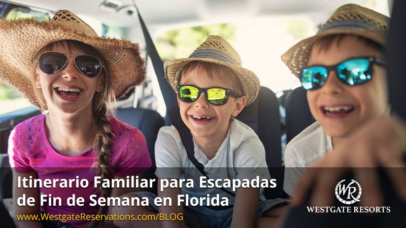 Mejores Resorts Familiares en Florida: Guía Definitiva para Vacaciones Perfectas 1 mejores resorts familiares en florida guia definitiva para vacaciones perfectas