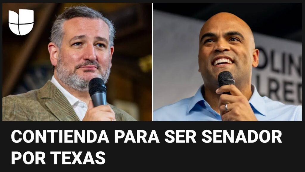 Noticiero Univision Edición Nocturna: Elecciones Texas, Cruz vs Allred - Últimas Noticias 1 noticiero univision edicion nocturna elecciones texas cruz vs allred ultimas noticias