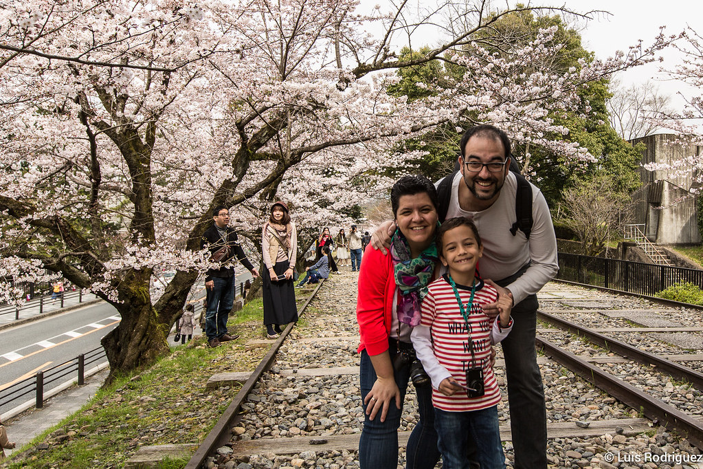 Planificando tu Viaje a Japón desde LAX: Una Guía Completa de LAX to Japan 1 planificando tu viaje a japon desde lax una guia completa de lax to japan