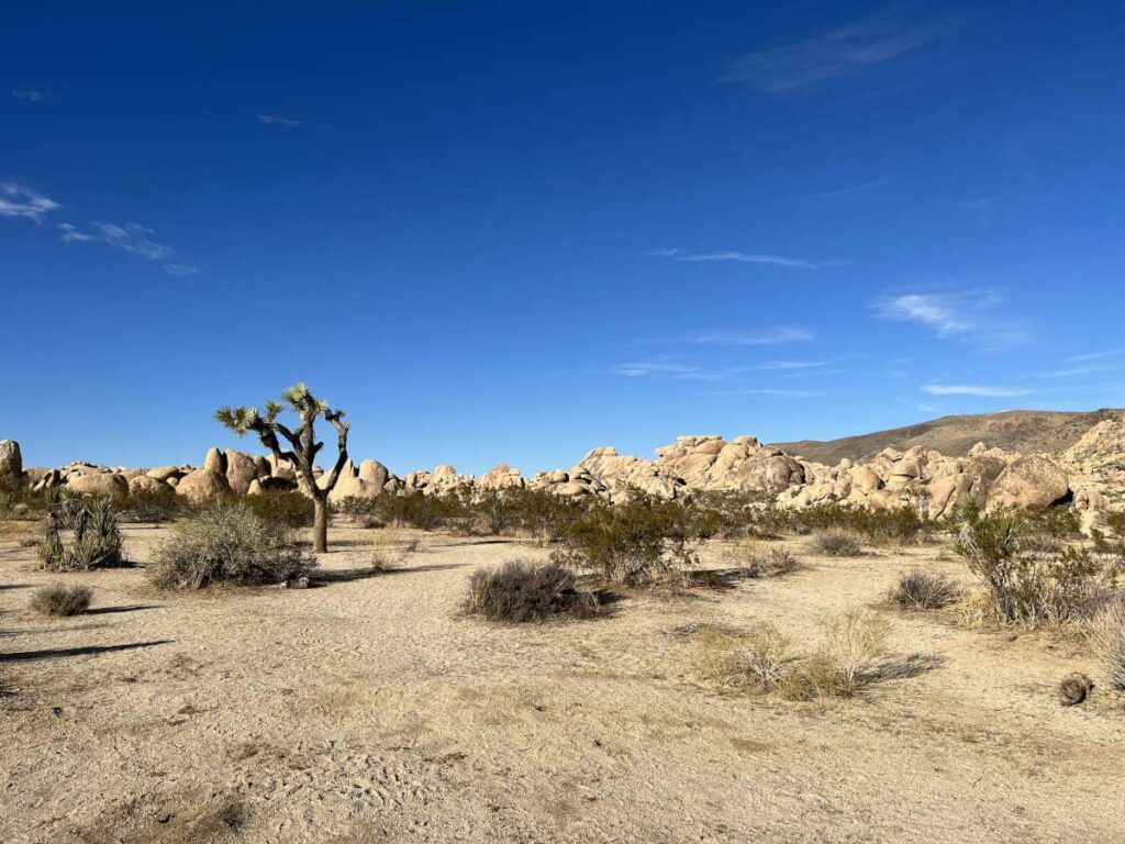 Reserva tu coche en San Francisco: Guía de alquiler en el Aeropuerto SFO con Skyscanner 1 reserva tu coche en san francisco guia de alquiler en el aeropuerto sfo con skyscanner