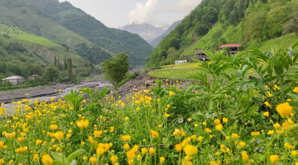 Reserva vuelos baratos a Georgia: Skyscanner guía definitiva 1 reserva vuelos baratos a georgia skyscanner guia definitiva