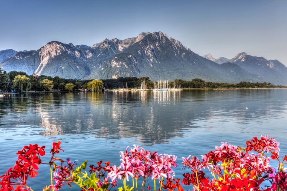 Reserva vuelos baratos a Suiza desde Londres con Skyscanner 1 reserva vuelos baratos a suiza desde londres con skyscanner