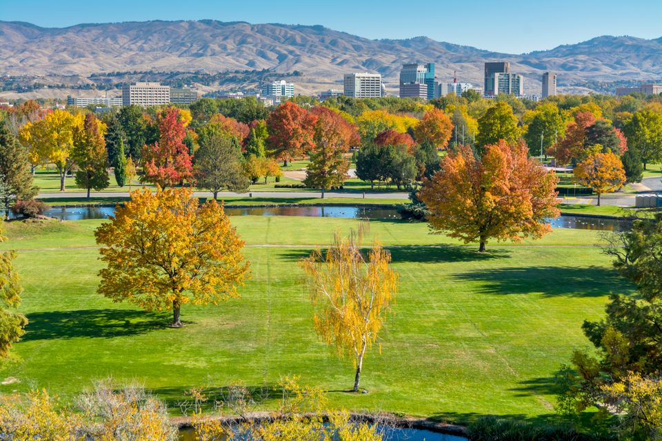 Skyscanner: Encuentra los Mejores Vuelos a Seattle WA al Mejor Precio 1 skyscanner encuentra los mejores vuelos a seattle wa al mejor precio
