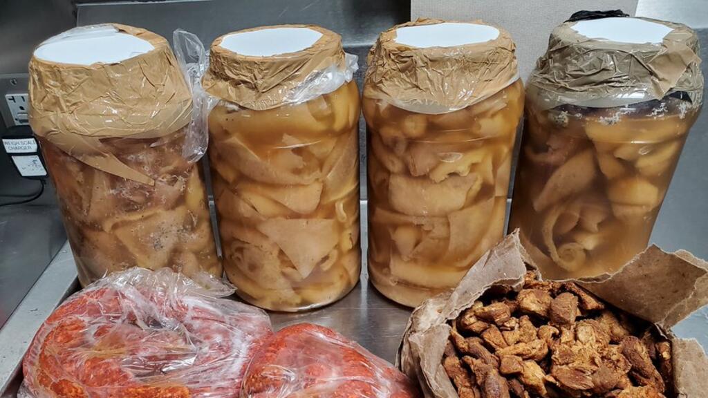 Tamales, Chorizo y Chicharrón: ¿Puedo Pasar Tamales a Estados Unidos? 1 tamales chorizo y chicharron puedo pasar tamales a estados unidos