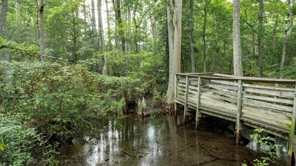 Vuelos Baratos a Santo Domingo: ¡Reserva tu vuelo desde $347! 1 vuelos baratos a santo domingo reserva tu vuelo desde 347