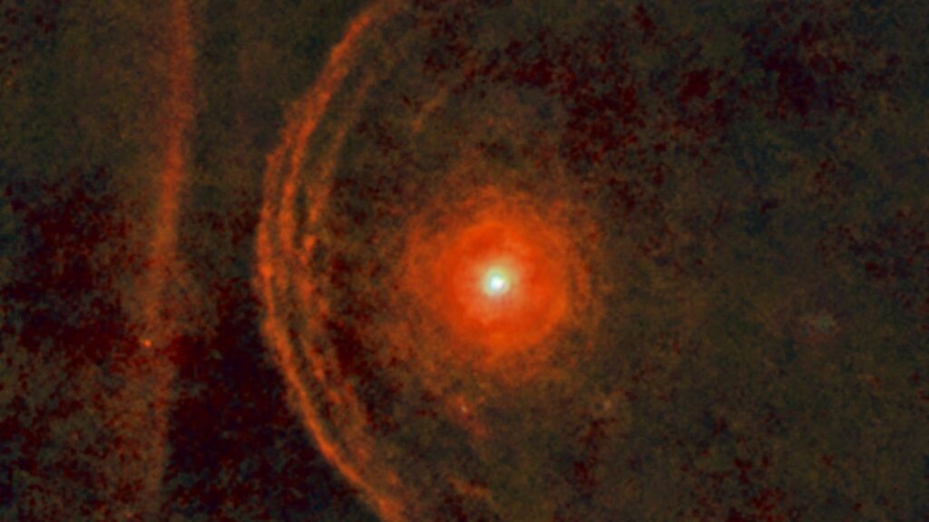 Betelgeuse: Explosión Estelar Desconcierta tras Sospecha Supernova 1 betelgeuse explosion estelar desconcierta tras sospecha supernova
