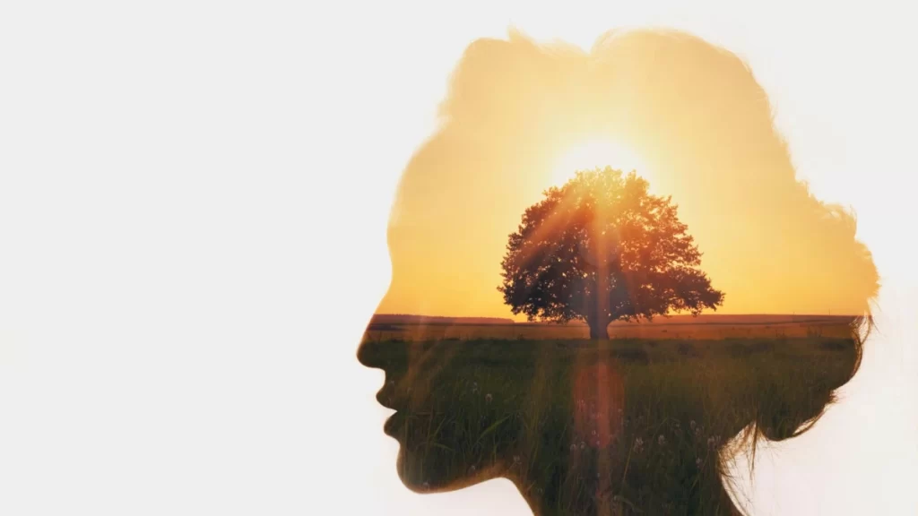 Conflictos como oportunidades para el crecimiento personal 1 conflictos como oportunidades para el crecimiento personal