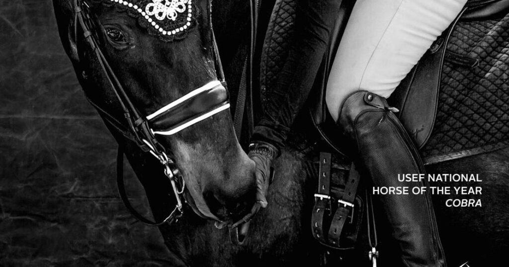 Speechless: Grand Design 'Milagro' Deja a Kevin McCloud Asombrado 1 speechless grand design milagro deja a kevin mccloud asombrado