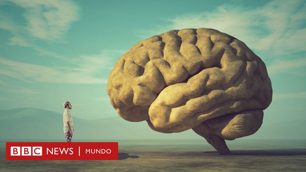 CI y Derecha Americana: Obsesión con la Inteligencia 1 ci y derecha americana obsesion con la inteligencia
