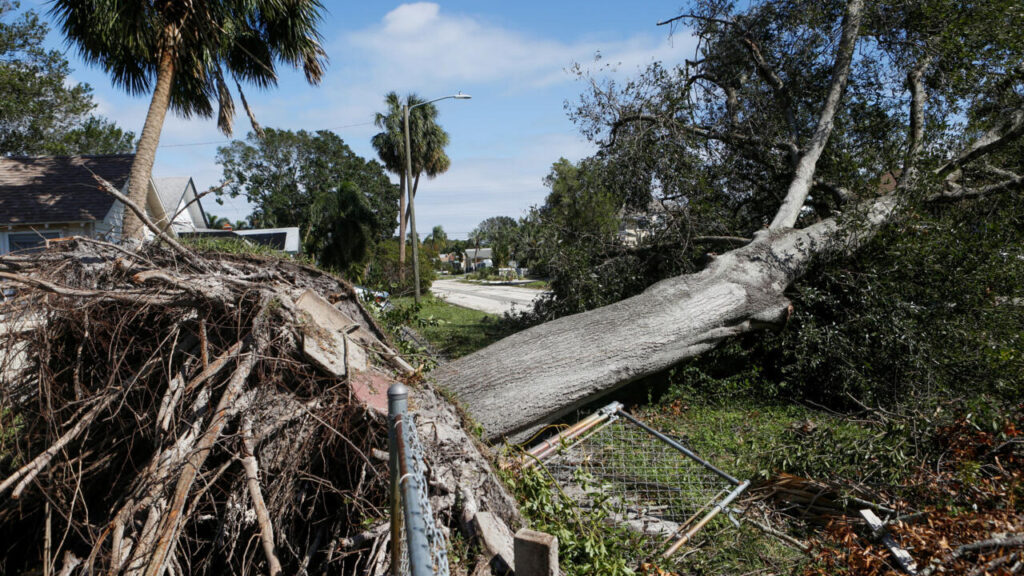 Huracán Milton: Daños y Fatalidades Comparado con Otros 1 huracan milton danos y fatalidades comparado con otros