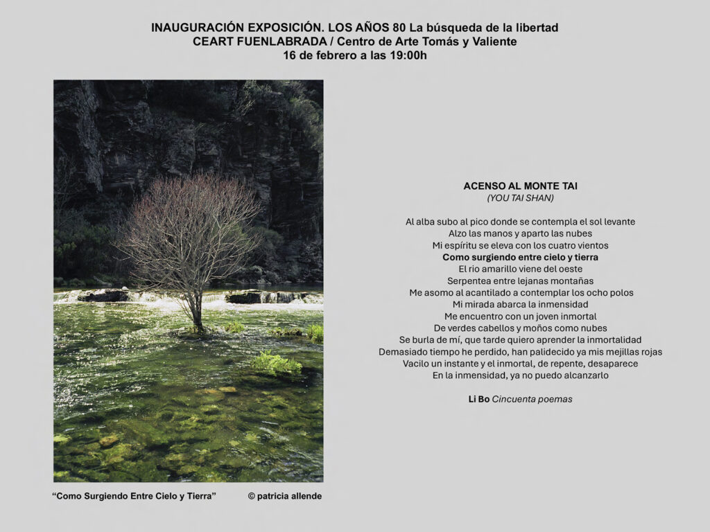 Instagram Stalker: ¿Quién Ve Tu Perfil? La Verdad Revelada 1 instagram stalker quien ve tu perfil la verdad revelada