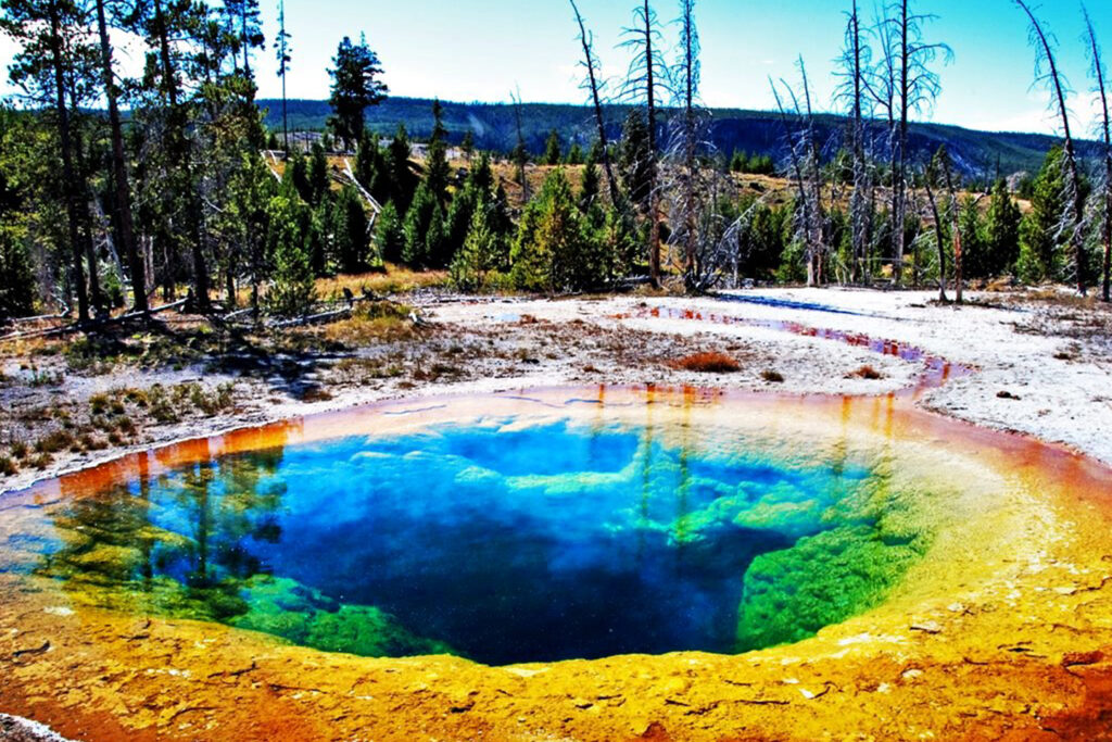 Morning Glory Yellowstone: Su Color Azul Destruido por Turistas 1 morning glory yellowstone su color azul destruido por turistas