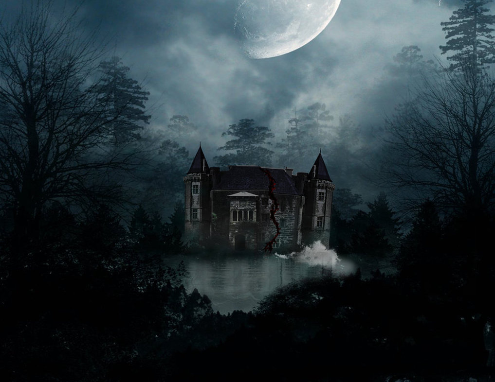 Sondra Locke: Trágico Ascenso y Caída de una Estrella 1 sondra locke tragico ascenso y caida de una estrella