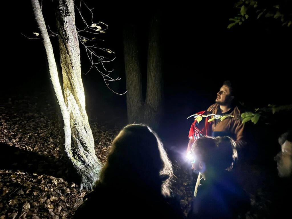 Hoia Baciu: Guía para Explorar el Bosque Más Espeluznante 1 hoia baciu guia para explorar el bosque mas espeluznante