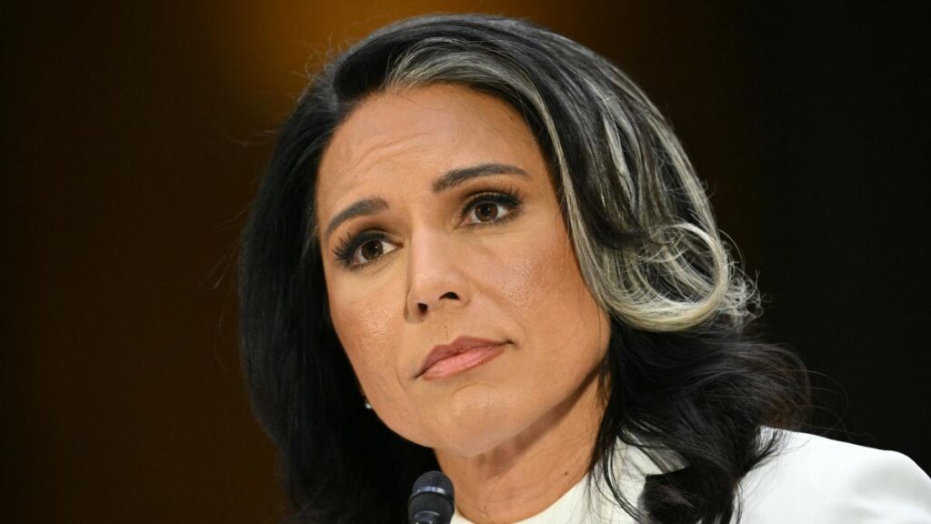 Tulsi Gabbard: Últimas Noticias, Análisis y Comentarios Actualizados 1 tulsi gabbard ultimas noticias analisis y comentarios actualizados