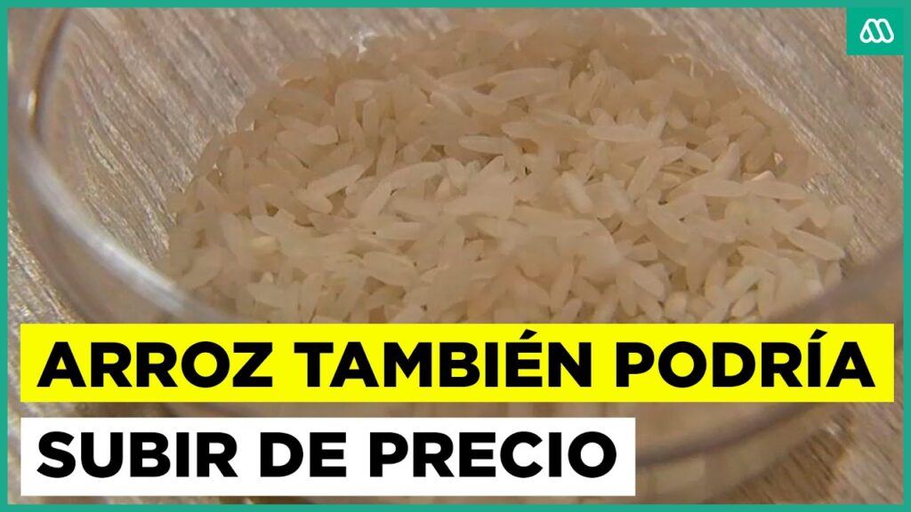 Arroz en Chile: ¿Subirá el Precio Este Alimento Básico? 1 arroz en chile subira el precio este alimento basico